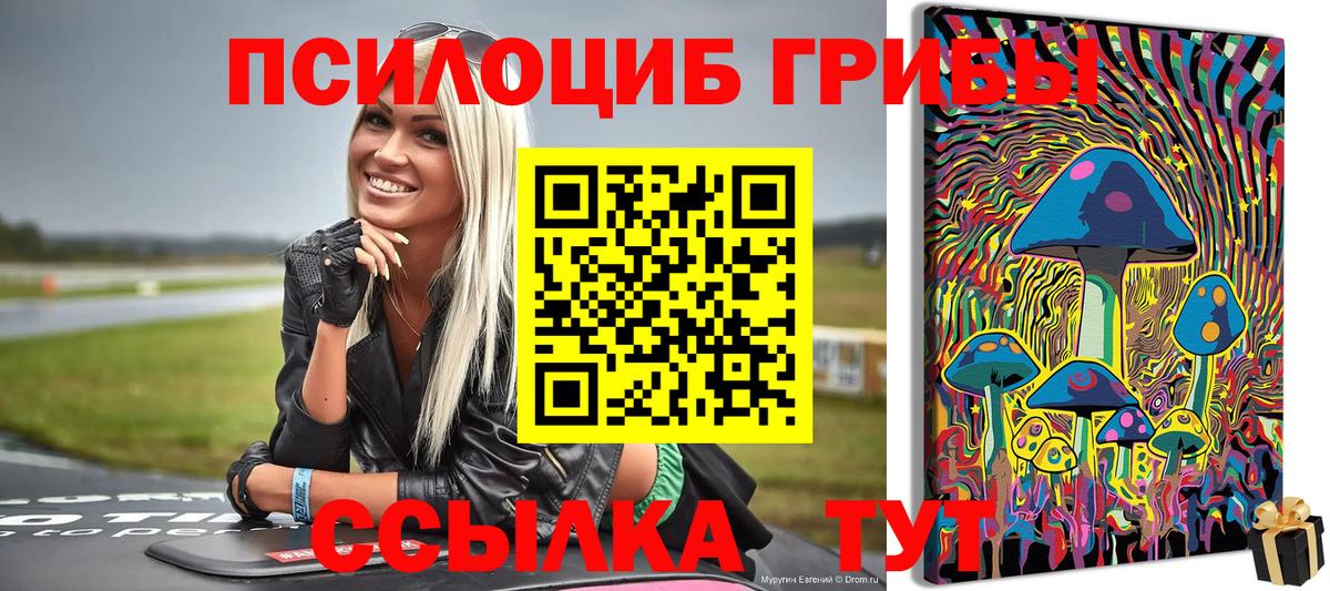 Галлюциногенные грибы MAGIC MUSHROOMS  Вход с VPN  цены   Владивосток 